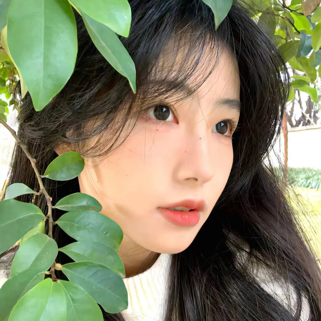 本小姐乃白鸟丽子 电影版